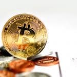 Bitcoin Continues To Survive the Free Fall Market