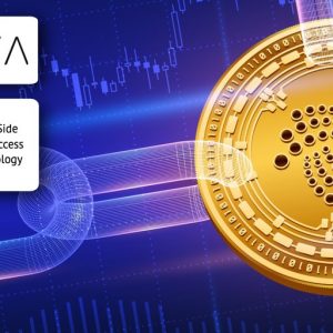 iota-on-the-theoritical-side-of-mana-and-delegated-access-on-the-blockchain-technology